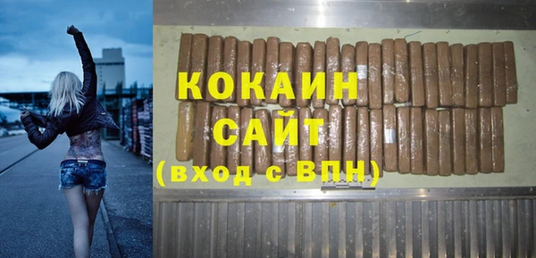 дмт Краснослободск