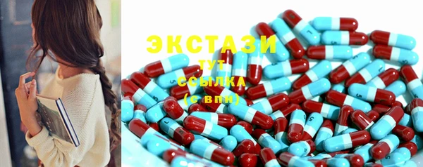 дмт Краснослободск