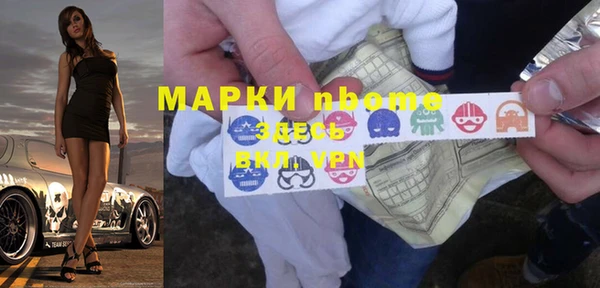 дмт Краснослободск