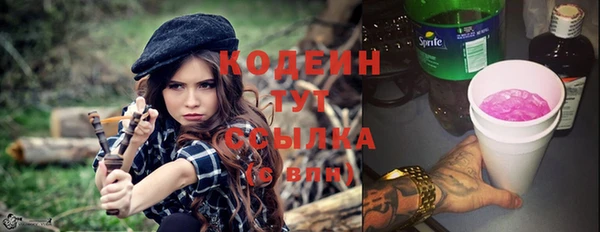 дмт Краснослободск