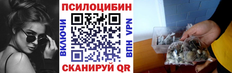 Купить где  Камешково  Псилоцибиновые грибы Magic Shrooms 